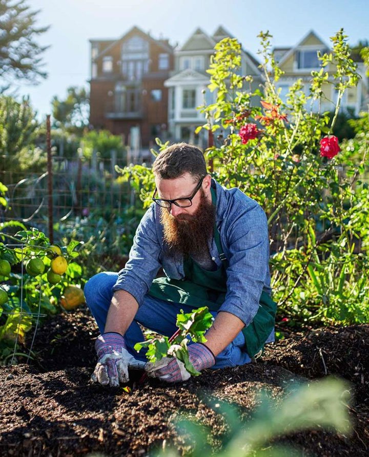 Growing plants