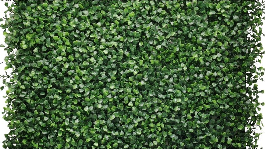 2-Tone-Boxwood-Ivy-1