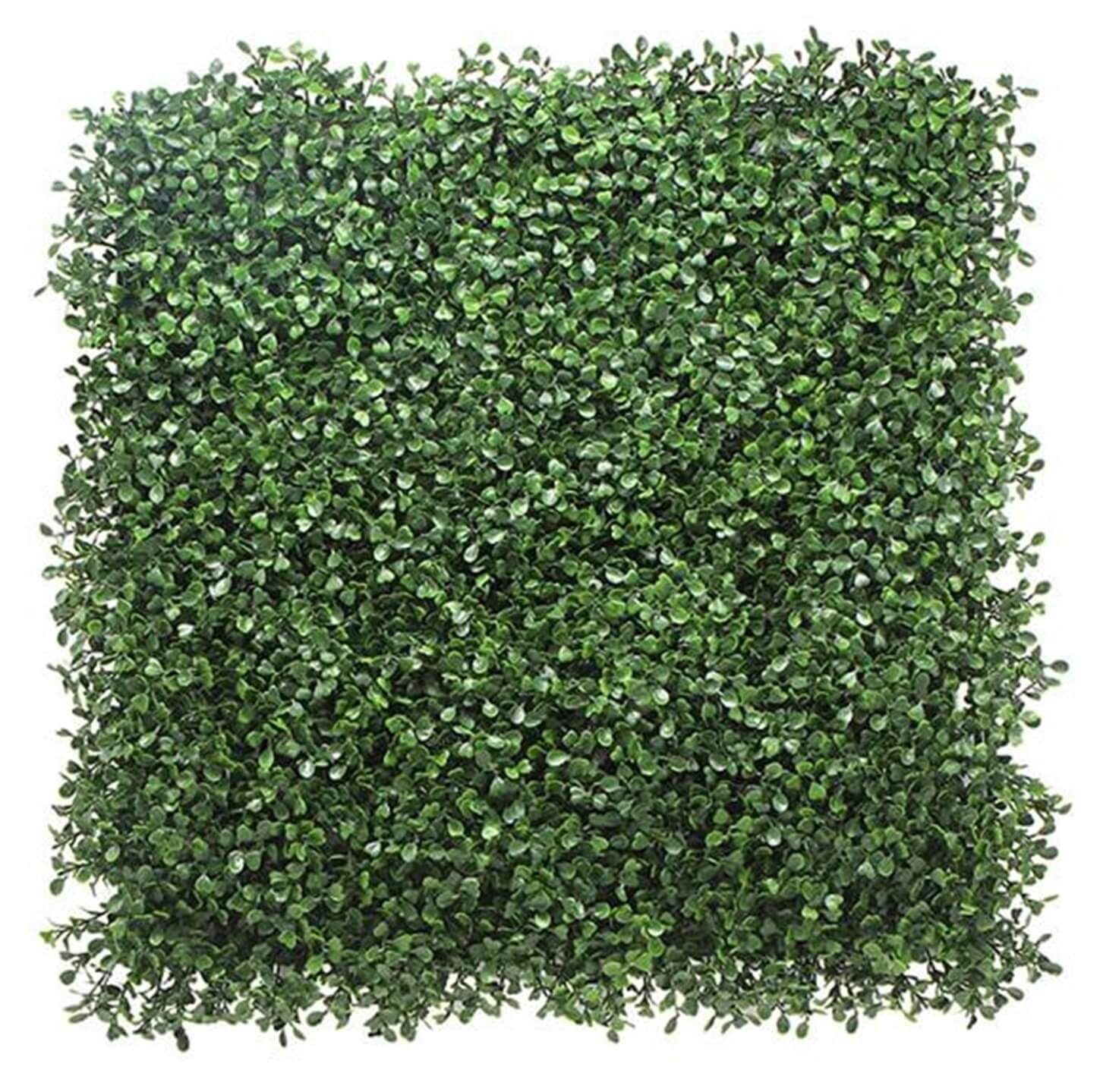 2-tone-Boxwood